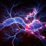 Neuron system disease