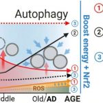 researchers-find-combi