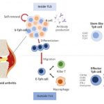 scientist-uncover-hidd