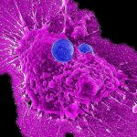 scientists-develop-off