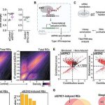 scientists-reverse-imm