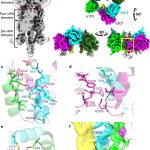 scientists-shed-light