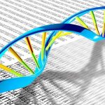3-dna (1)
