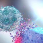 Natural-Killer-NK-Destroying-Cancer-Cell-1200x800