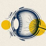 adult-stem-cells-show