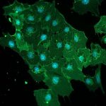 headspace-invaders-how