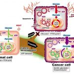 integrated-metabolic-a-1