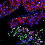 new-research-from-prin-1