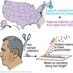 single-hair-strand-cou