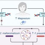 study-shows-magnesium