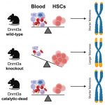 surprising-new-roles-d-1