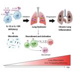 the-small-protein-with