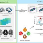 uk-biobank-analysis-re