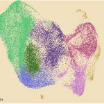 cancer-progression-ill