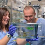 late-onset-cerebellar