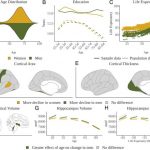 men-experience-more-br