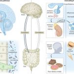 more-than-a-feeling-co