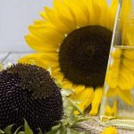 seed-oils