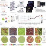 spatial-analysis-finds