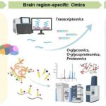 tiny-sugars-in-the-bra