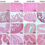 triple-threat-iron-sup