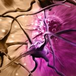 Brain-Cancer-Cells-Neurons-1536x985