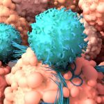 Cancer-Immunotherapy-T-Cells-1536x1024 (1)