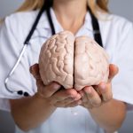 Doctor-Holding-Brain-Model-1200x800