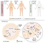 a-magic-bullet-for-pol