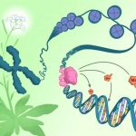 epigenetic-changes-reg