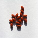 montatip-lilitsanong-H6EZFQUORKw-unsplash-768x549