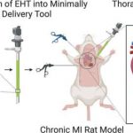 researchers-identify-a-8