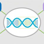 single-prime-editing-s