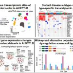 study-uncovers-and-pre
