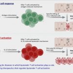 study-uncovers-the-mec