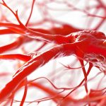 teleangectasia-emorragica-ereditaria-hht