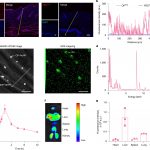 the-future-of-insulin
