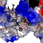 ubc-researchers-uncove