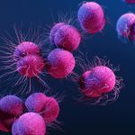 Neisseria-gonorrhoeae-Bacteria-1200x800