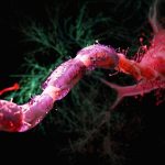 nerve_cell_calorie_cut_header
