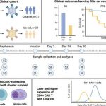 new-insights-into-the-25