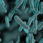 shutterstock_750553609