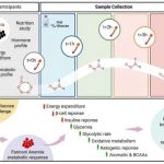 why-metabolism-matters