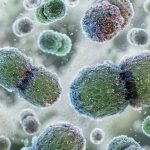 Vancomycin-Resistant-Enterococcus-VRE-Bacteria-1200x773
