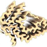 a-skin-biopsy-to-detec