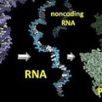 download - 2026-01-29T083846.893