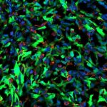 for-the-first-time-a-m