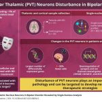identification-of-the (1)