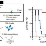promising-innovative-c