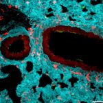 research-redefines-the